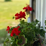 Apartament Luisko